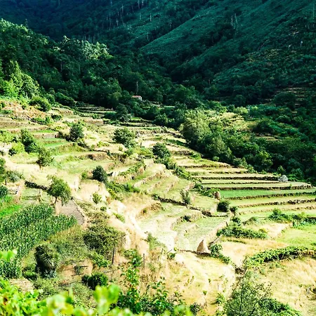 Casa Fidalgo * סיסטלו