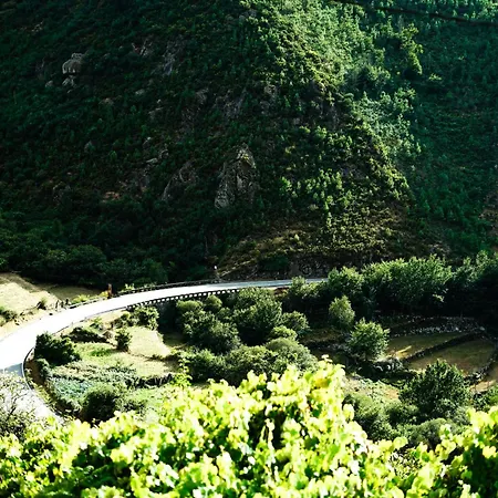 Casa Fidalgo * סיסטלו