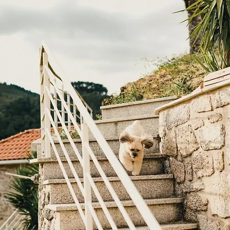 Casa Fidalgo * Sistelo