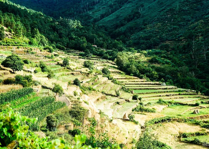 Casa Fidalgo * סיסטלו