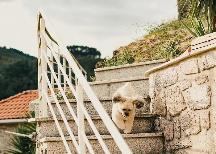 Casa Fidalgo * Sistelo